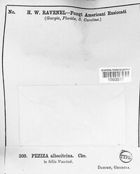 Image Associated With the Occurrence